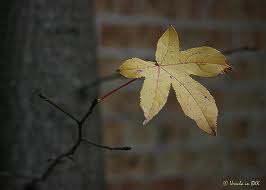 The Last Leaf, by O. Henry